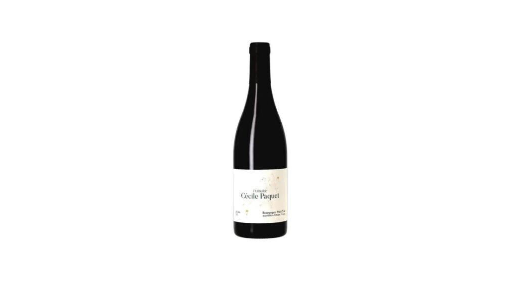 Bourgogne Pinot Noir, 2022 Organic, Cecile Paquet, Bourgogne ,წითელი ღვინო