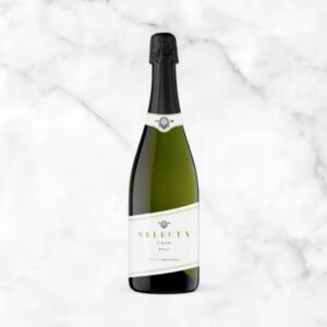 Cava Select brut, Bodegas Josep, Masachs, Spain, Catalonia, D.O. Cava